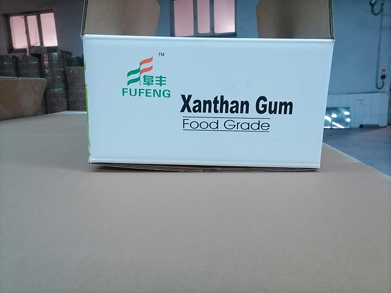 XANTHAN GUM CARTON PACKING 2.jpg